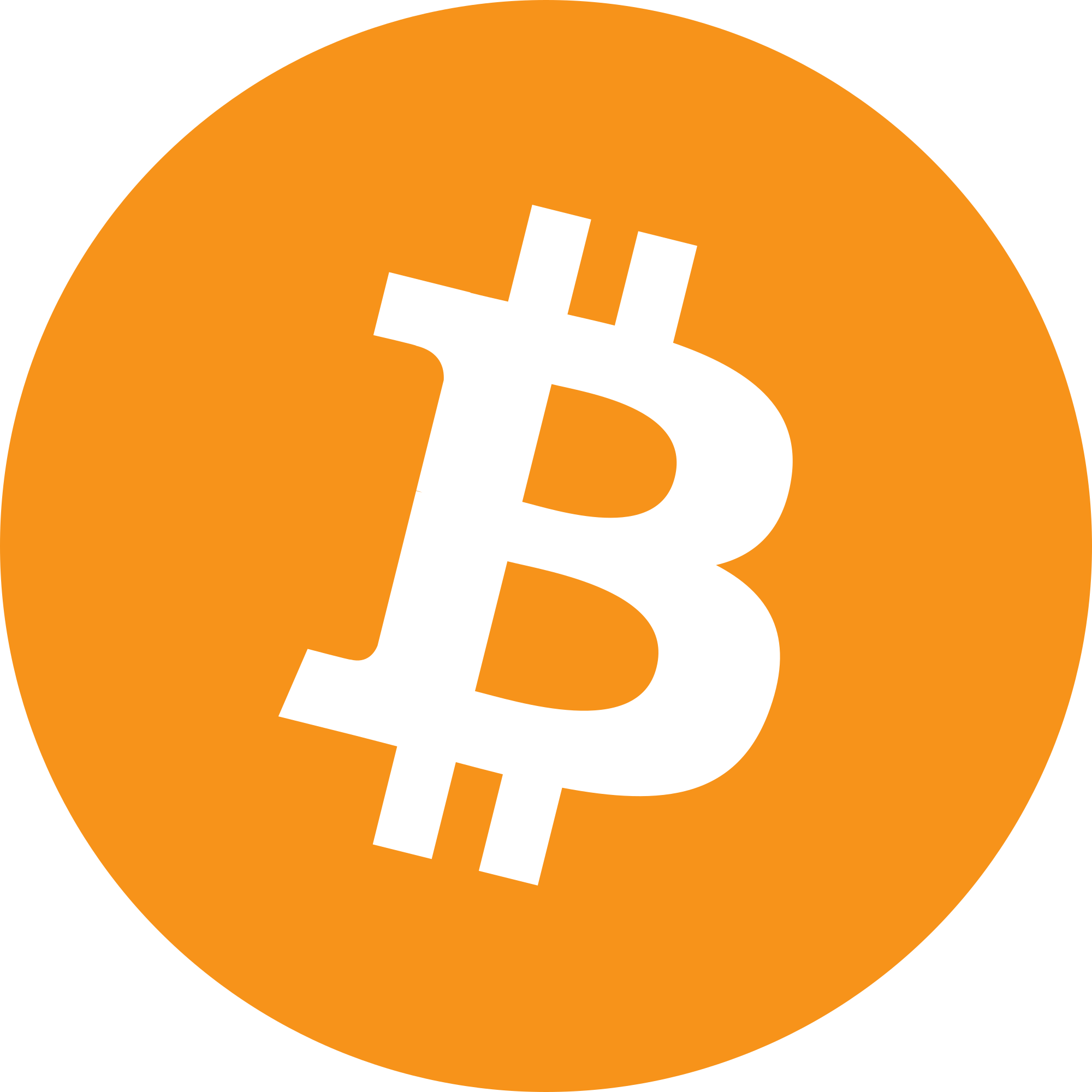 DatFix Logo - Bitcoin and IT Services
